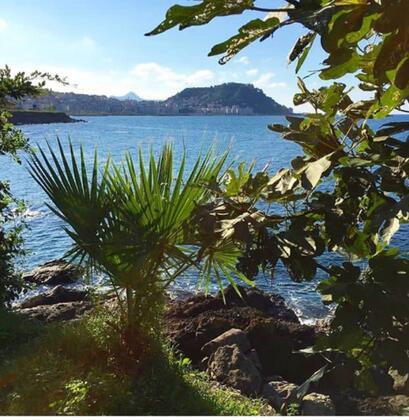 Yalı Türk Otel - Görsel 5