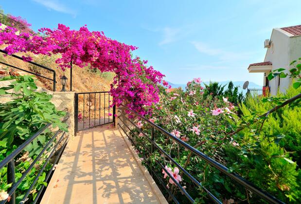 Vena Apartment - Görsel 3