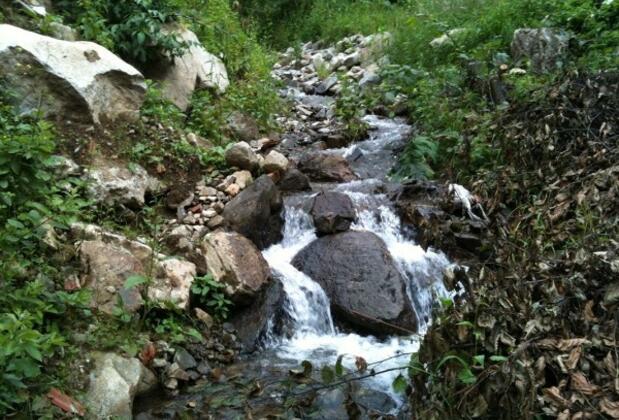 Ayder Paradise Butik Otel - Görsel 6