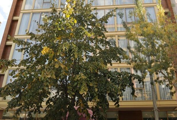 Sarar Otel Kızılcıklı - Görsel 7