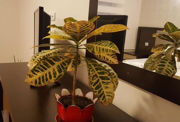 Animos Suit Otel - Görsel 21