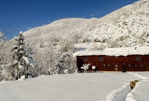 Küre Dağ Evi - Görsel 20