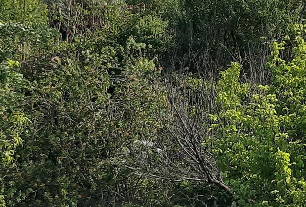 Villa White Apart - Görsel 27