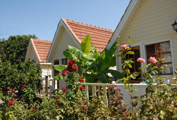 Nova Beach Hotel - Görsel 4