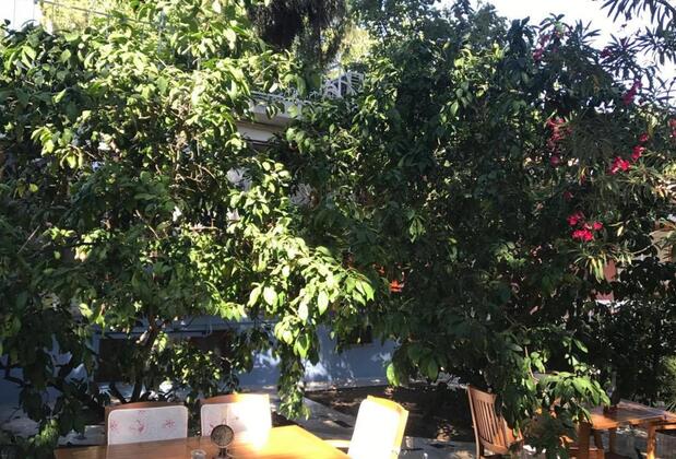 Butik Otel Pekcan - Görsel 34