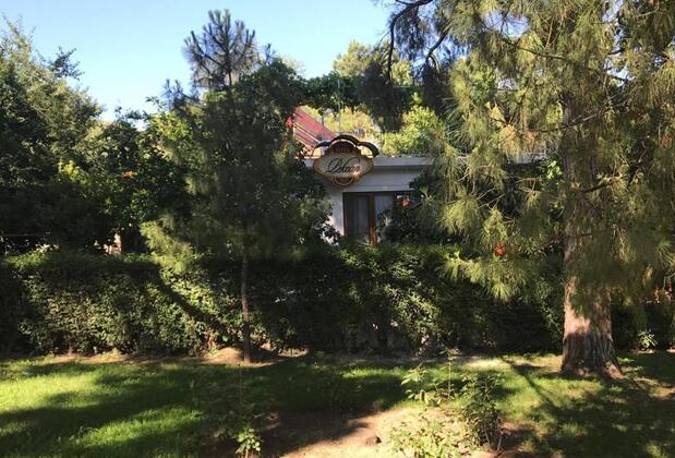 Butik Otel Pekcan - Görsel 13