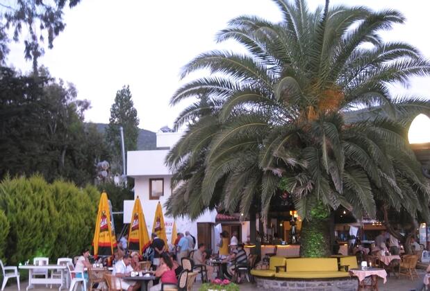 Club Aquarium - Görsel 7