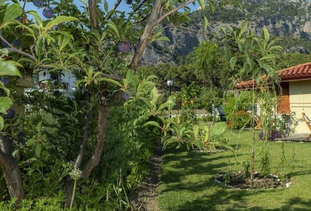 Göcek Sandal Hotel - Görsel 15