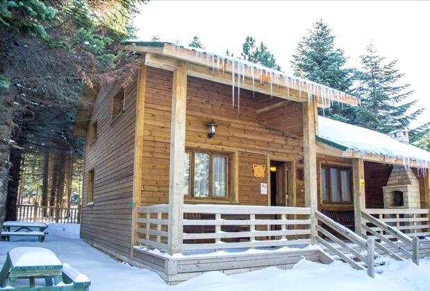 Uludağ Orman Köşkleri Sarıalan - Görsel 8