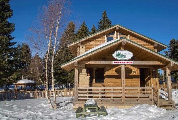 Uludağ Orman Köşkleri Sarıalan - Görsel 7