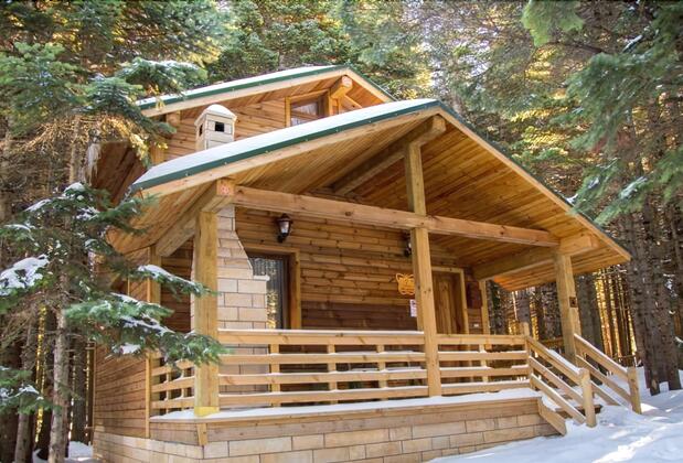 Uludağ Orman Köşkleri Sarıalan - Görsel 6