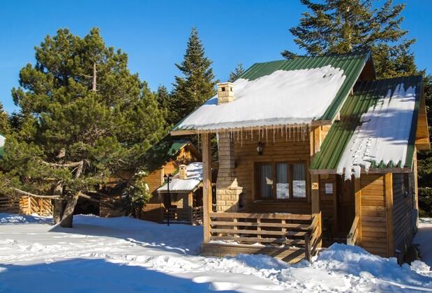 Uludağ Orman Köşkleri Sarıalan - Görsel 9