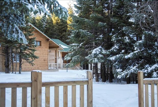 Uludağ Orman Köşkleri Sarıalan - Görsel 19