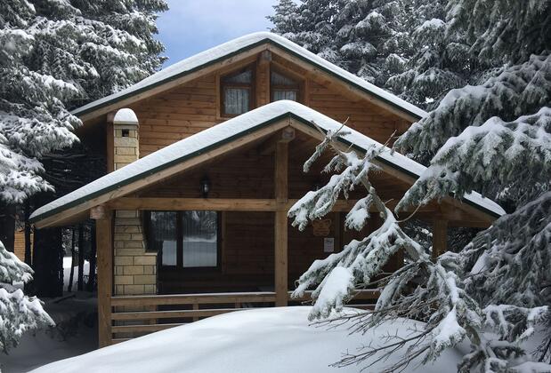 Uludağ Orman Köşkleri Sarıalan - Görsel 14