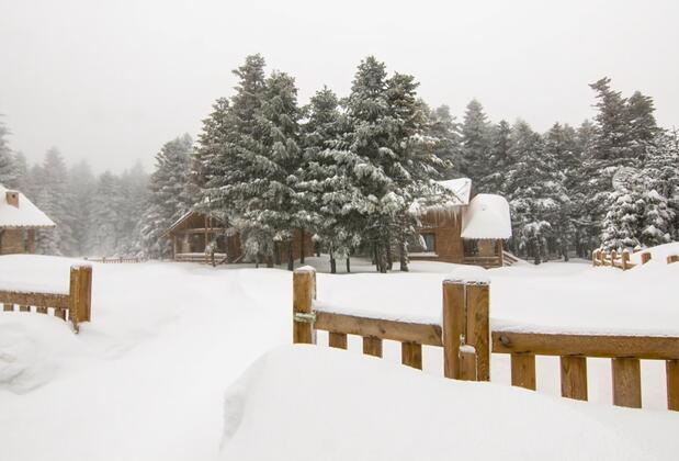 Uludağ Orman Köşkleri Sarıalan - Görsel 16