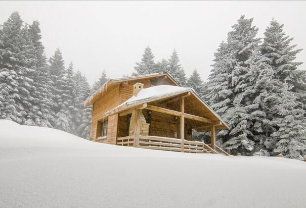 Uludağ Orman Köşkleri Sarıalan - Görsel 18