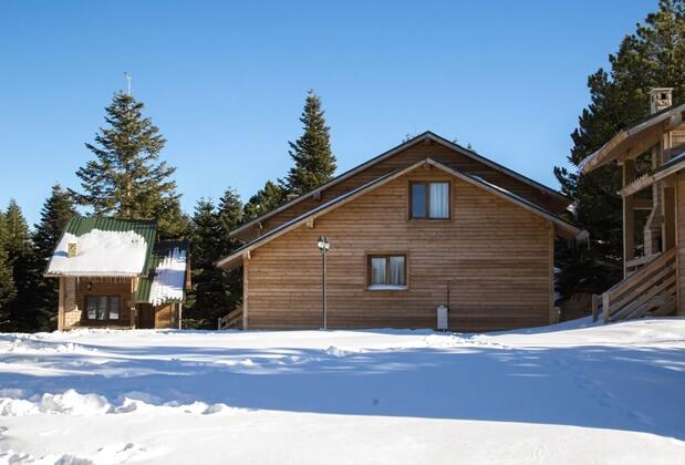 Uludağ Orman Köşkleri Sarıalan - Görsel 17