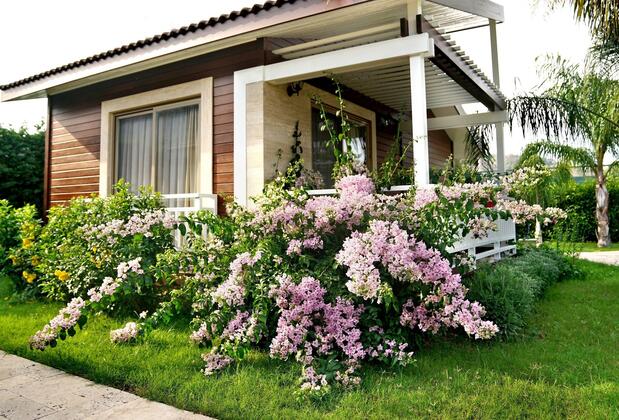 Çıralı Hera Hotel - Görsel 4