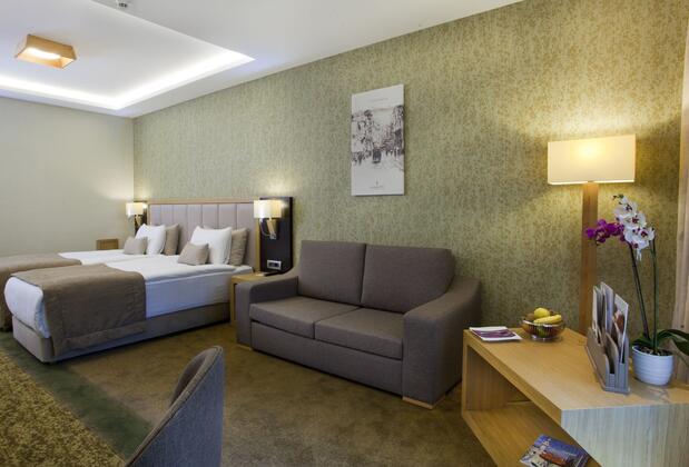 The Parma Hotel Taksim - Görsel 49