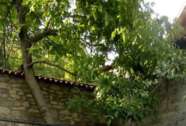 Melek Hanım Konağı - Görsel 34