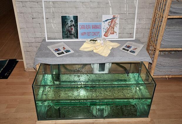 Pineta Park Deluxe Hotel - Görsel 14