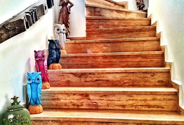 Pitahaya Home Hotel - Görsel 15