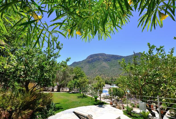 Pitahaya Home Hotel - Görsel 6