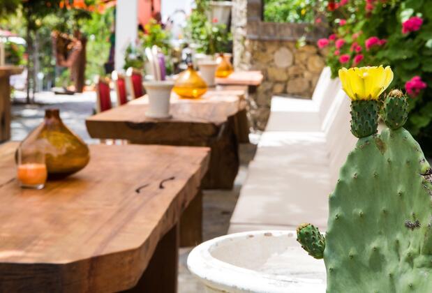 Pitahaya Home Hotel - Görsel 10