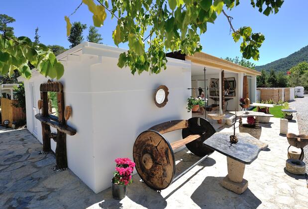 Pitahaya Home Hotel - Görsel 5