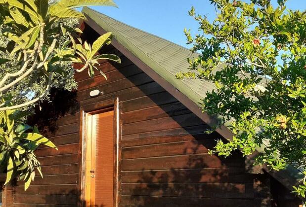 Aybüke Pansiyon - Görsel 3