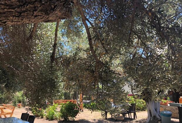 Aybüke Pansiyon - Görsel 5