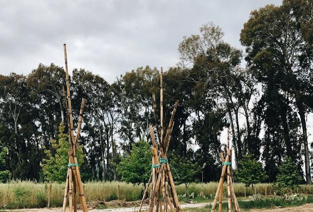 Yucca House Gökova - Görsel 3