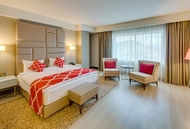 Demircioğlu Park Hotel - Görsel 3