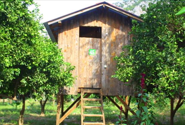 Şaban Tree Houses - Görsel 4