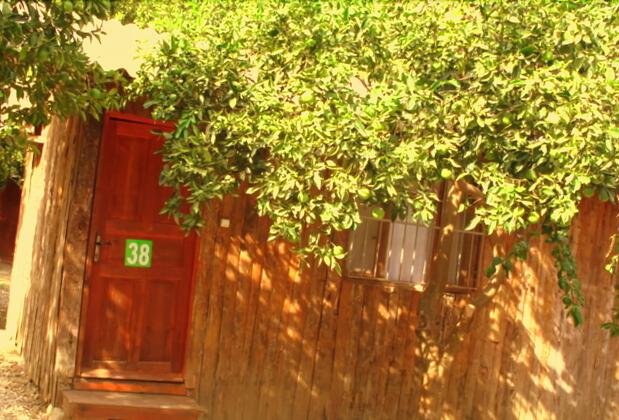 Şaban Tree Houses - Görsel 5