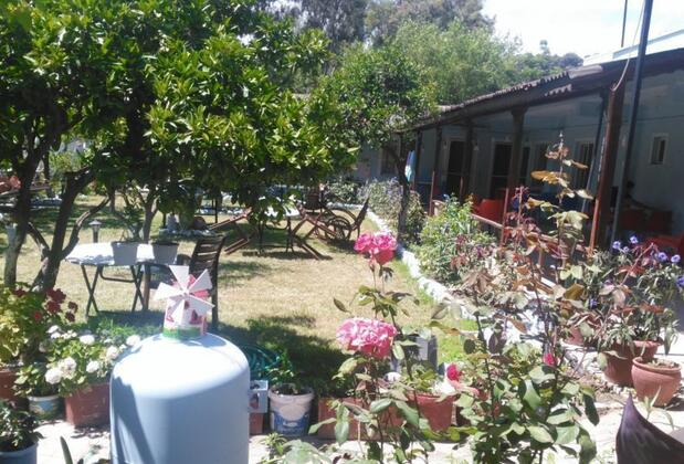 Gelincik Pansiyon - Görsel 4