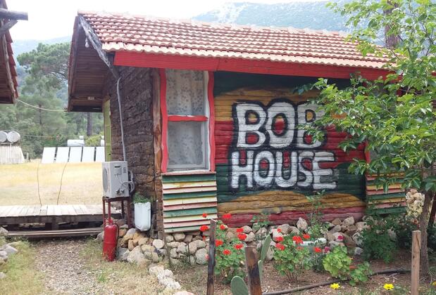 Jungle Bells Hostel - Görsel 2