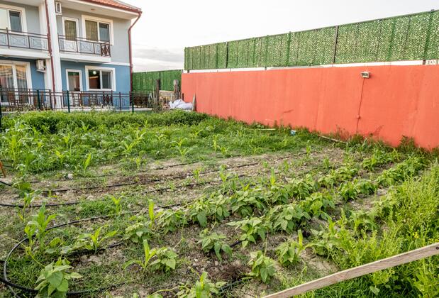 Şahika Konukevi - Görsel 5