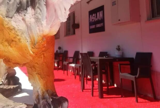 Aslan Luxury Concept - Görsel 9