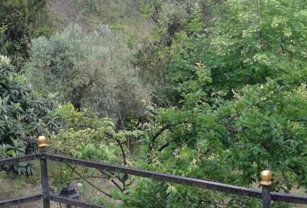 Waldvilla Çıralı - Görsel 11