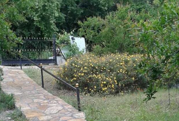 Waldvilla Çıralı - Görsel 13