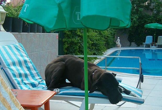 Mandalinn Hotel - Görsel 4