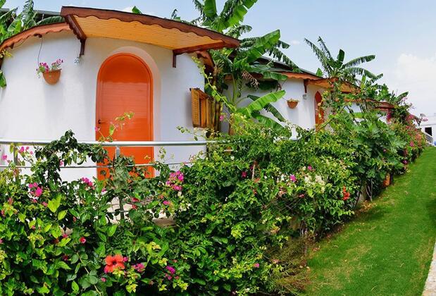 Seal Beach Club - Görsel 6