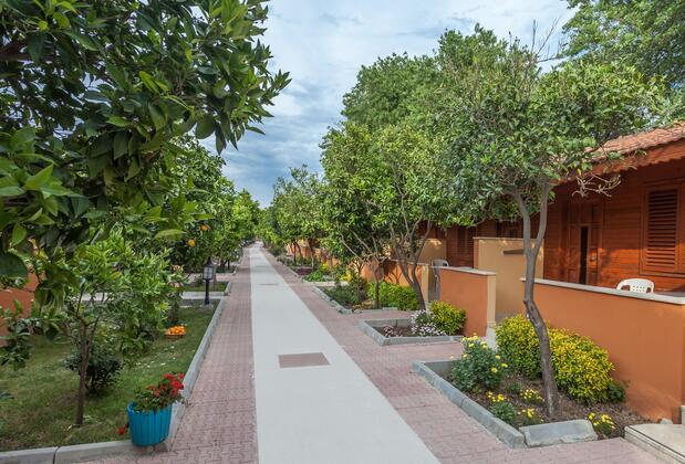 Hotel Özlem Garden - Görsel 4