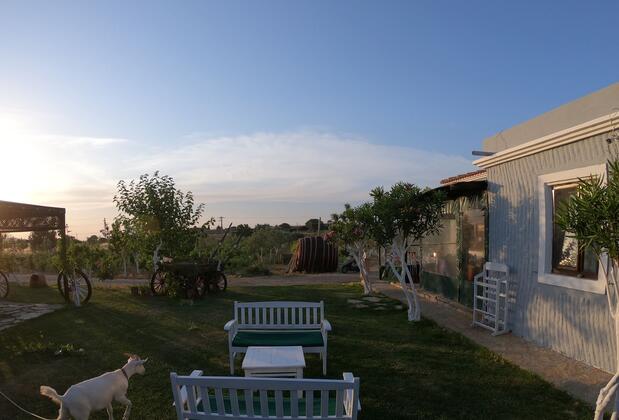 Bağban Bozcaada - Görsel 3