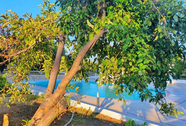 Dilek Ağacı Butik Otel - Görsel 30