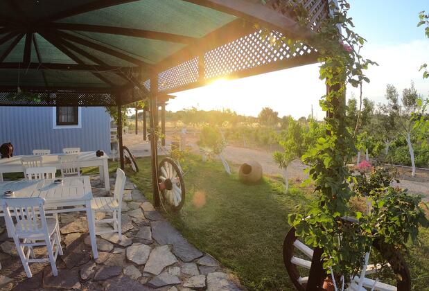 Bağban Bozcaada - Görsel 5