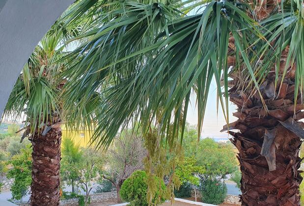 Dilek Ağacı Butik Otel - Görsel 31