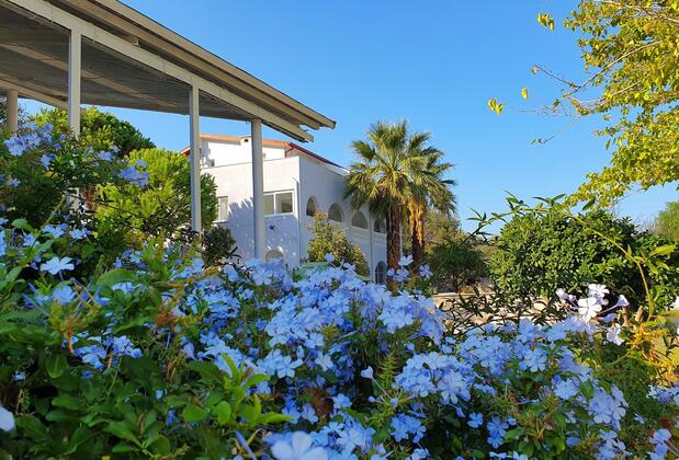 Dilek Ağacı Butik Otel - Görsel 26