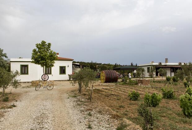 Bağban Bozcaada - Görsel 6